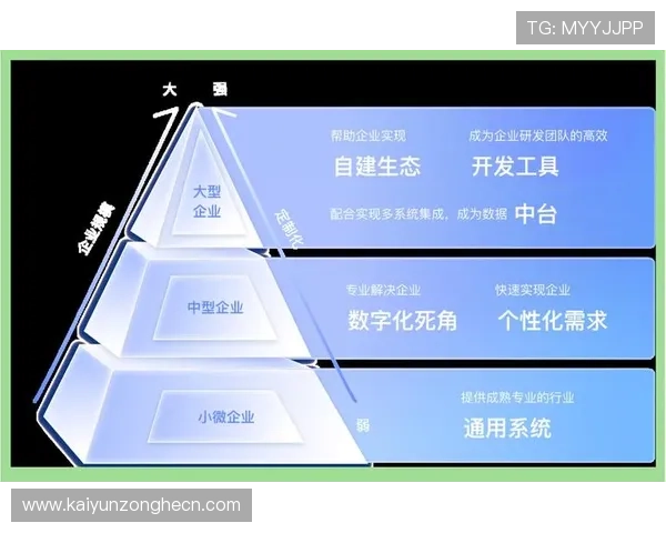 开云注册中心：企业数字化转型的核心平台与解决方案