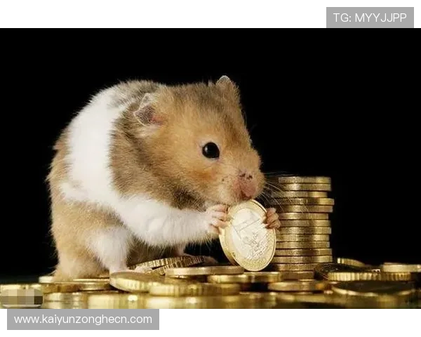 开运真人现场指导,助你破解运势难题实现人生逆转