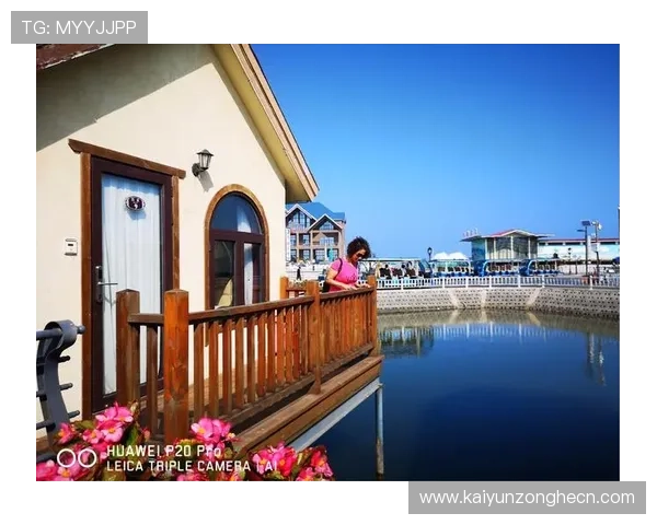 探秘开云手机网页入口的独特体验与便利性