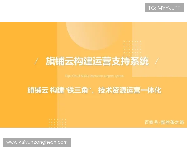 开云公司简介：全面了解开云集团的发展历程与企业文化